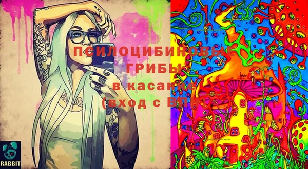 гашиш Сатка