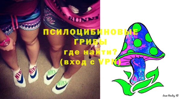 a pvp Шадринск