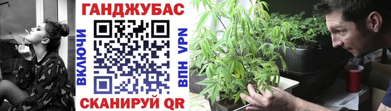 даркнет телеграм  купить  сайты  Болгар  Бошки марихуана Bruce Banner 