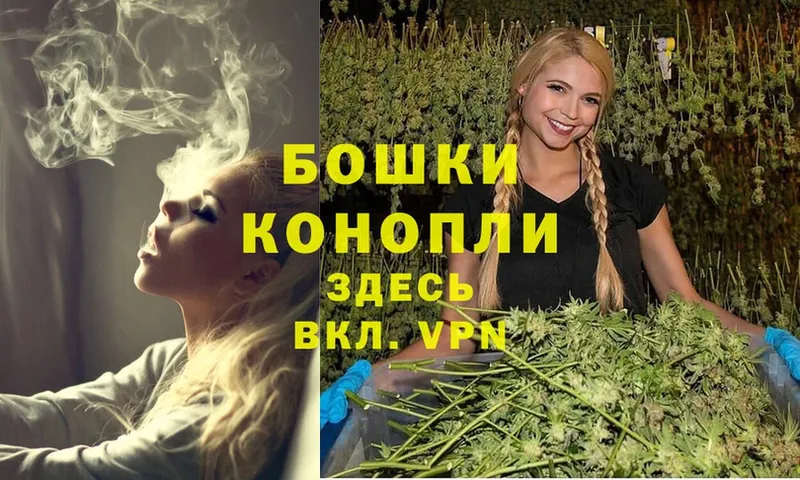 Шишки марихуана Ganja  Болгар 